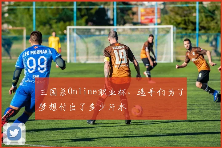三国杀Online职业杯，选手们为了梦想付出了多少汗水